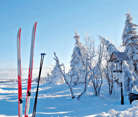 Winter | Swiss Exams