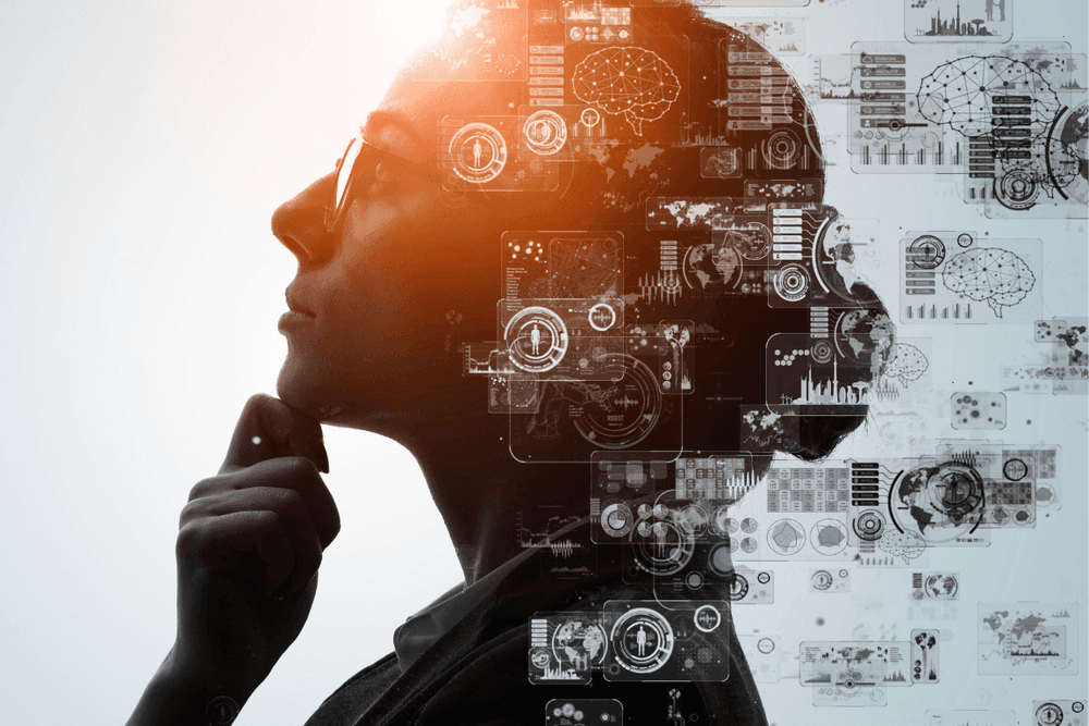 Beyond Language Competence: What a High-Level Language Qualification Really Signals to Employers