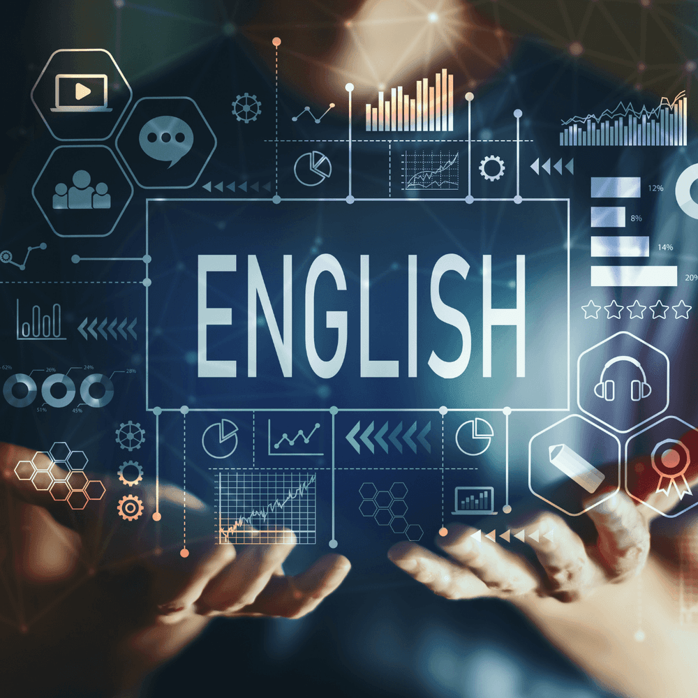 Life after Gymnasium without a Language Qualification